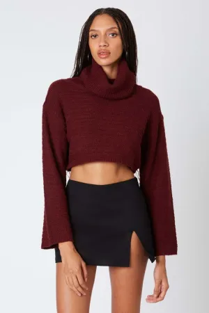 Carrie Turtleneck Sweater