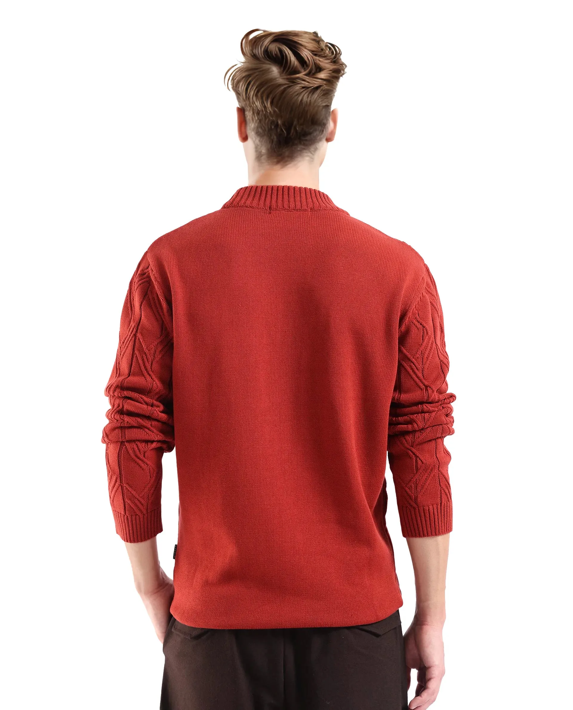 Rare Rabbit Men's Caloz Rust Cotton Fabric Full Sleeve High Neck Regular Fit Cable Knit Sweater