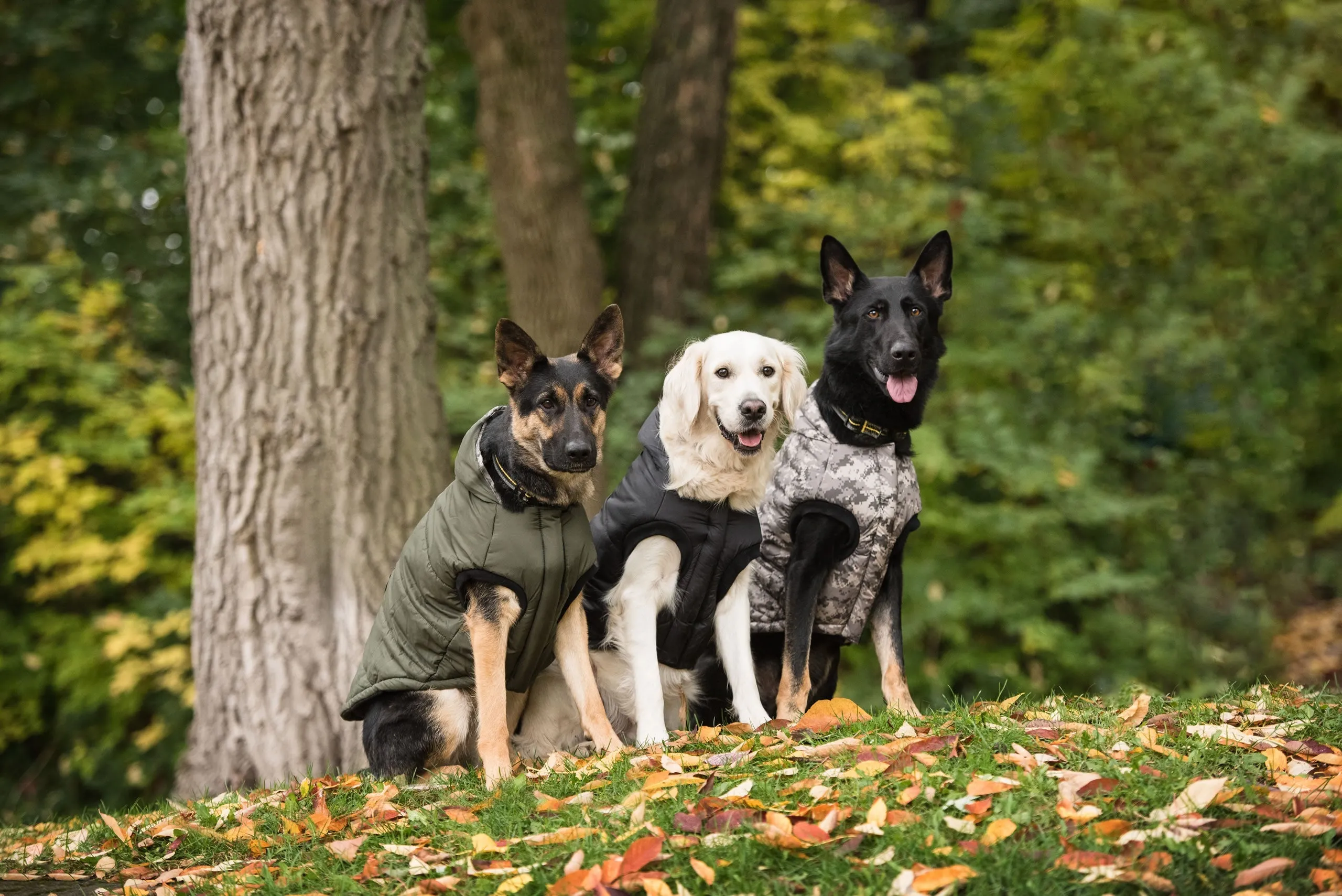 US Army Dog Parka - Dark Camo